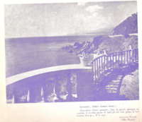 Brochure Estate 1957