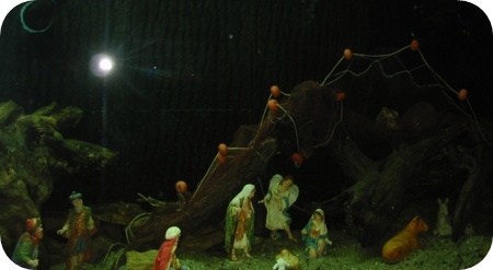 Presepe sott'acqua nell'acquario di Soverato